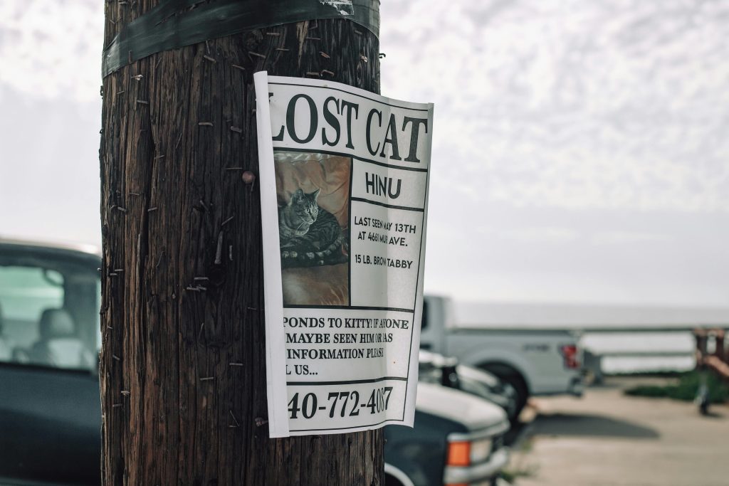 How to Find a Lost Cat – A missing cat poster taped to a wooden pole features a gray tabby cat named Hinu. The notice includes crucial details such as the cat’s last seen location, weight, and contact number. This image highlights the importance of clear information and visibility when searching for a lost pet.