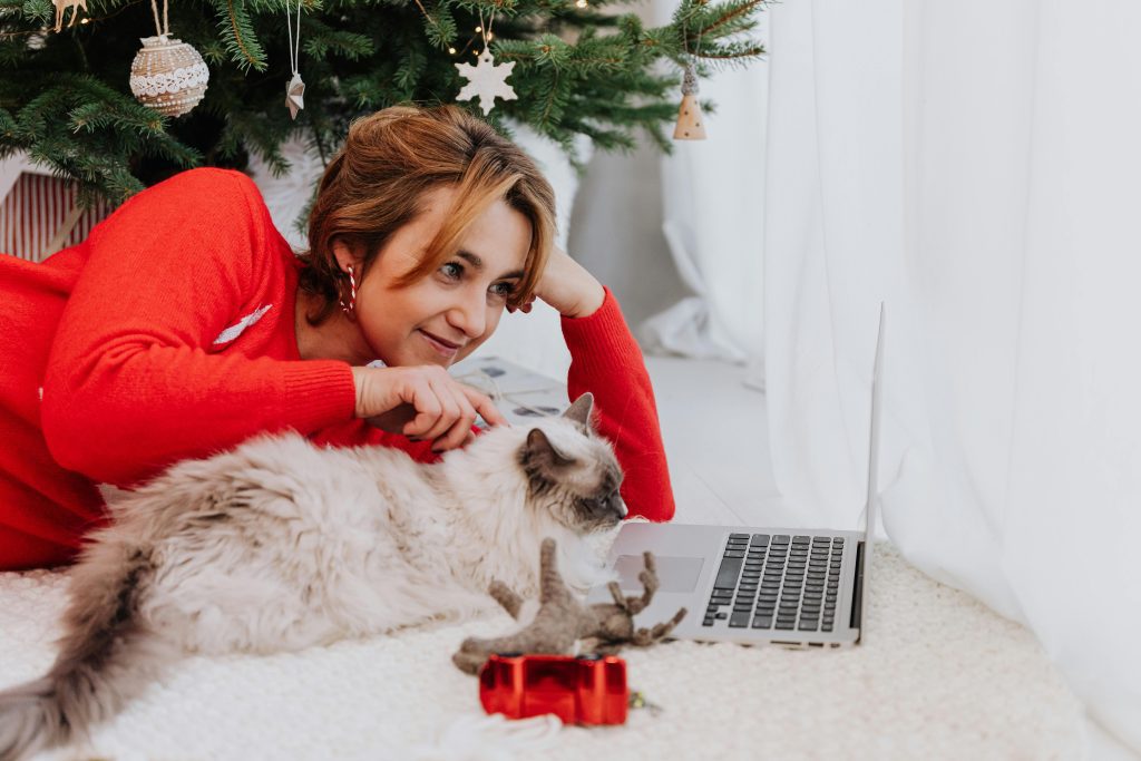 Person in red sweater cuddling with a fluffy Ragdoll cat beside a Christmas tree, laptop, and festive decor, illustrating the cozy bond and answering “Are Ragdoll Cats Cuddly” with a warm holiday moment.